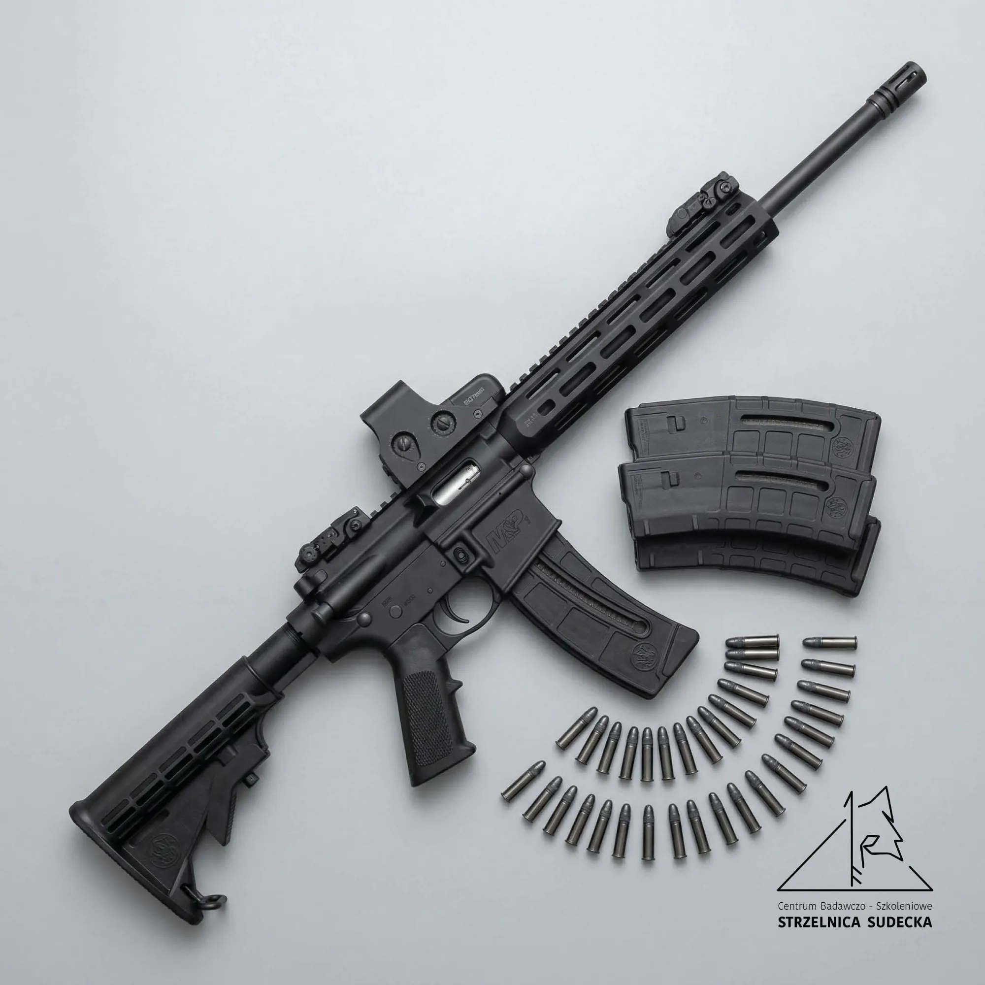 smith & wesson